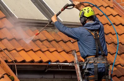 Démoussage et hydrofuge de toiture à Vandeins